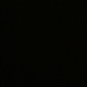 Meet your Posher, Lillian